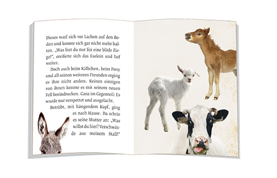 Bild: 9783869179285 | Das Märchen vom kleinen Esel | Gisela Rieger | Taschenbuch | 16 S.
