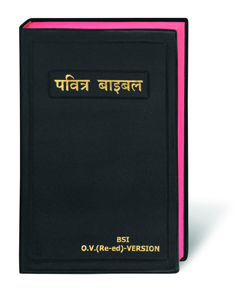 Cover: 9783438081803 | Bibel Hindi / Holy Bible Hindi, traditionelle Übersetzung | Buch