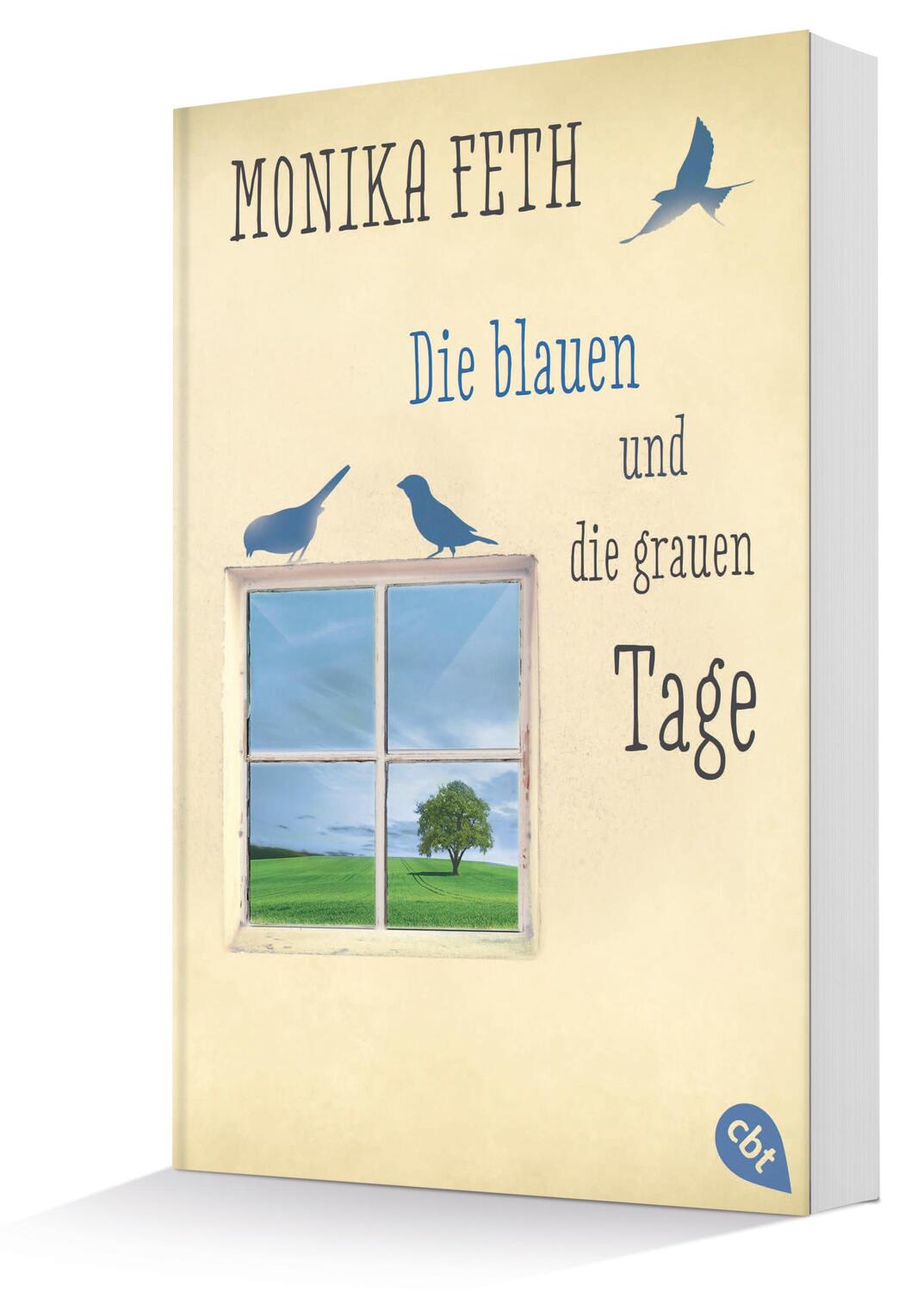 Bild: 9783570309353 | Die blauen und die grauen Tage | Monika Feth | Taschenbuch | Deutsch