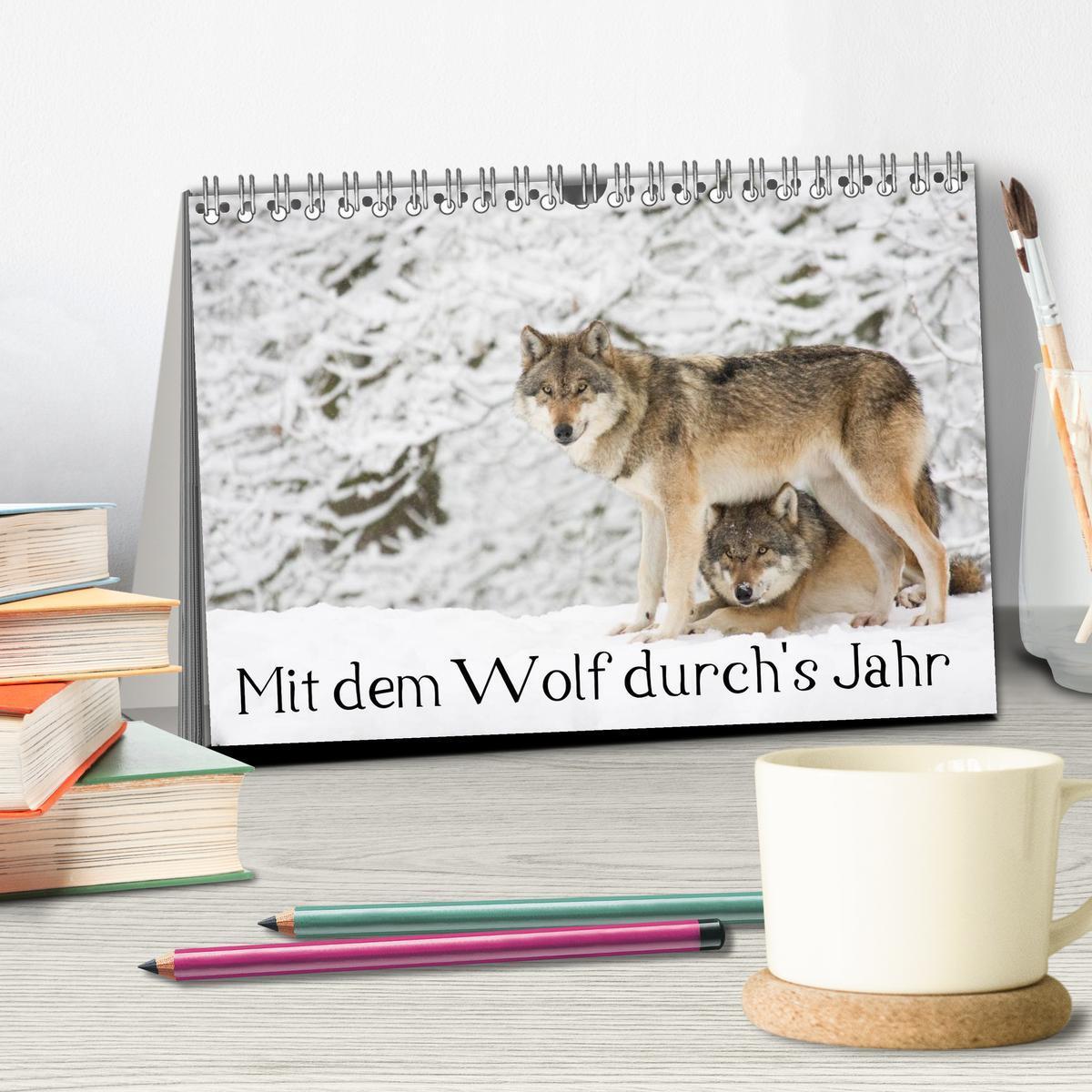 Bild: 9783435490035 | Mit dem Wolf durch's Jahr (Tischkalender 2025 DIN A5 quer),...