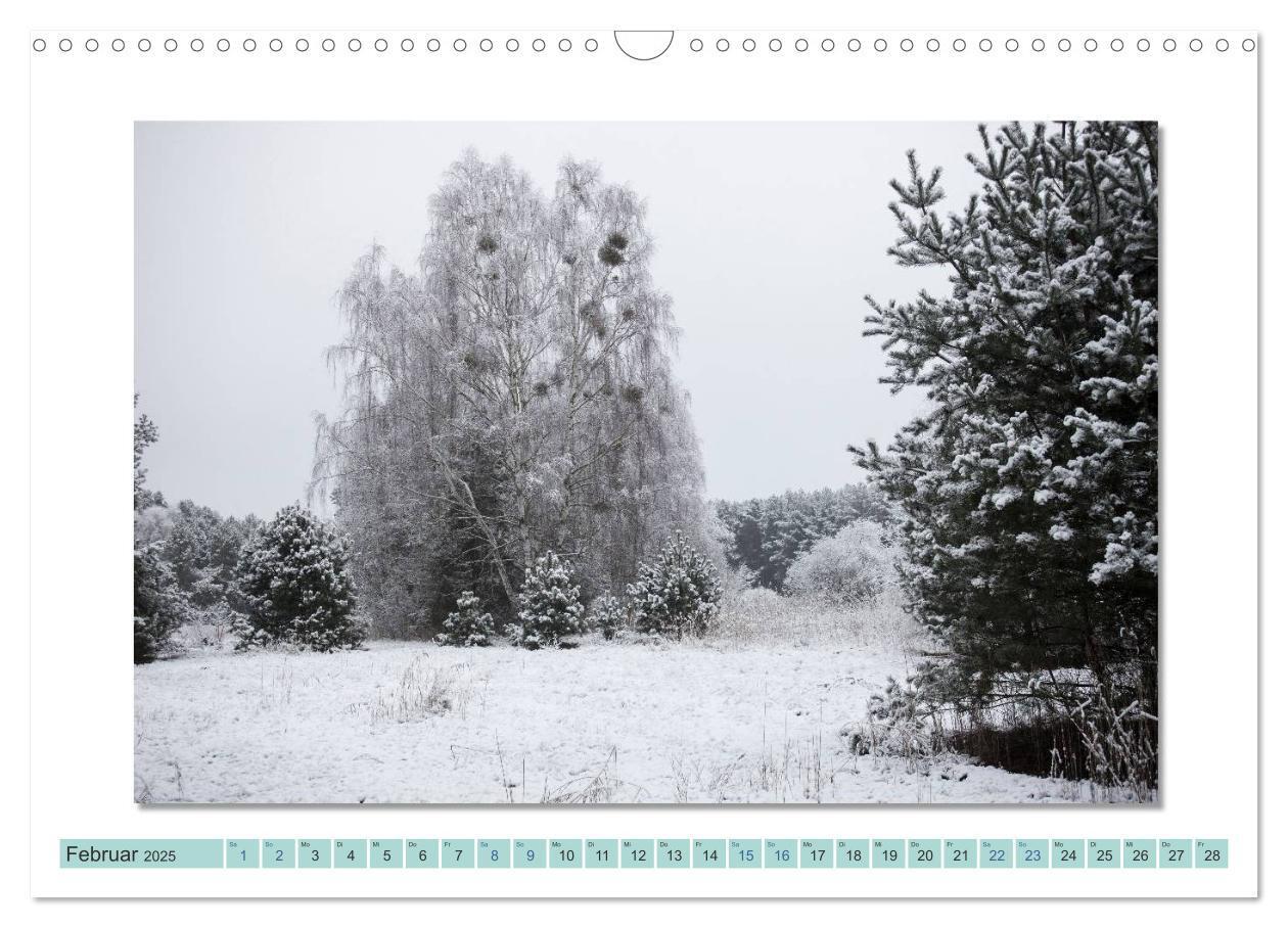 Bild: 9783435535842 | Augenblicke im Müritz Nationalpark (Wandkalender 2025 DIN A3 quer),...