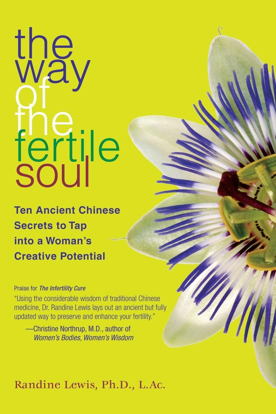 Cover: 9781582701806 | The Way of the Fertile Soul | Randine Lewis | Taschenbuch | Paperback