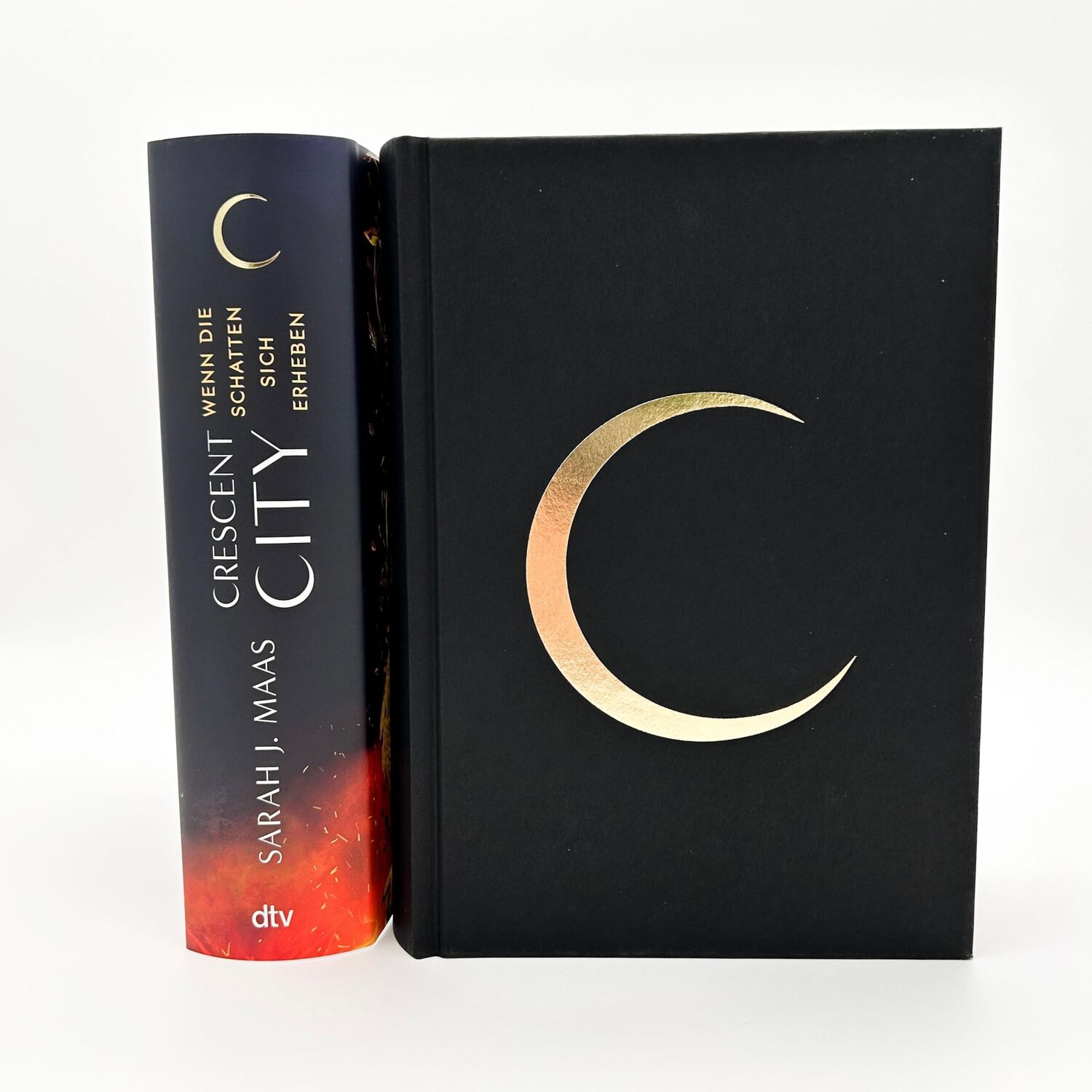 Bild: 9783423764773 | Crescent City - Wenn die Schatten sich erheben | Sarah J. Maas | Buch