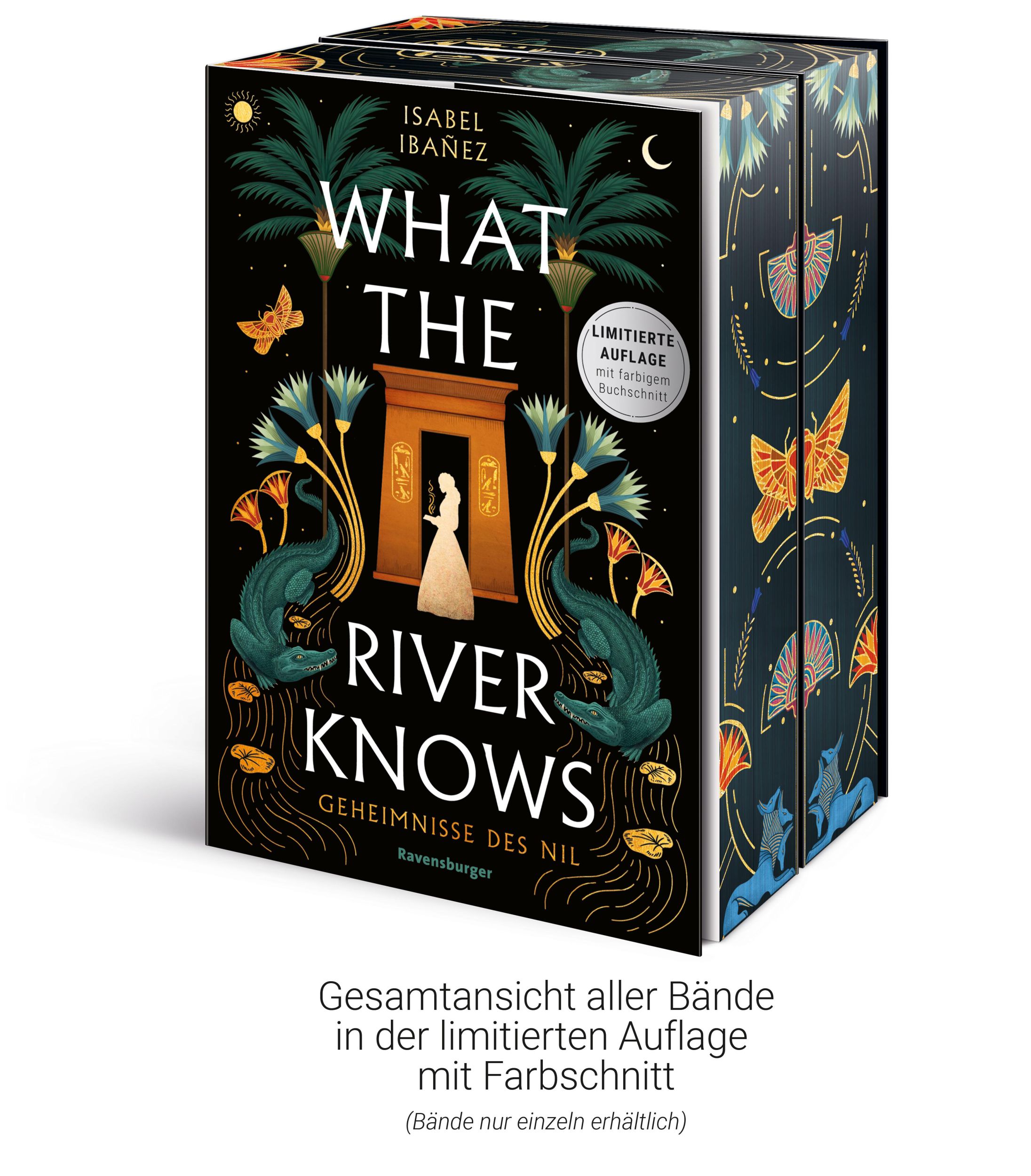 Bild: 9783473586820 | What the River Knows. Geheimnisse des Nil, Band 1 (Knisternde...