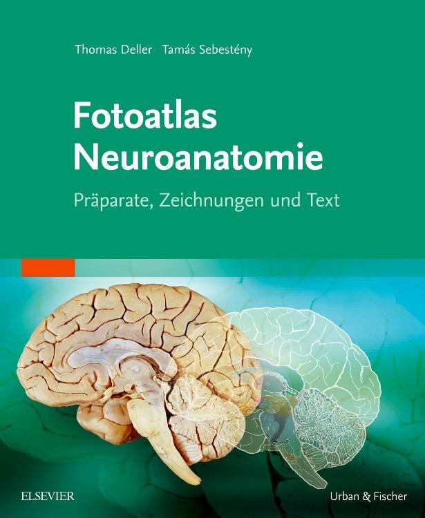 Cover: 9783437412158 | Fotoatlas Neuroanatomie | Thomas Deller (u. a.) | Taschenbuch | 2016