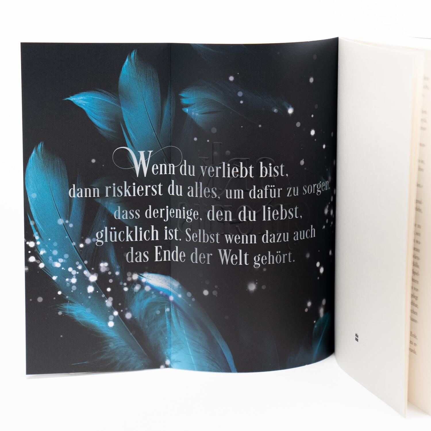 Bild: 9783365004708 | Dark Elements 1 - Steinerne Schwingen | Jennifer L. Armentrout | Buch