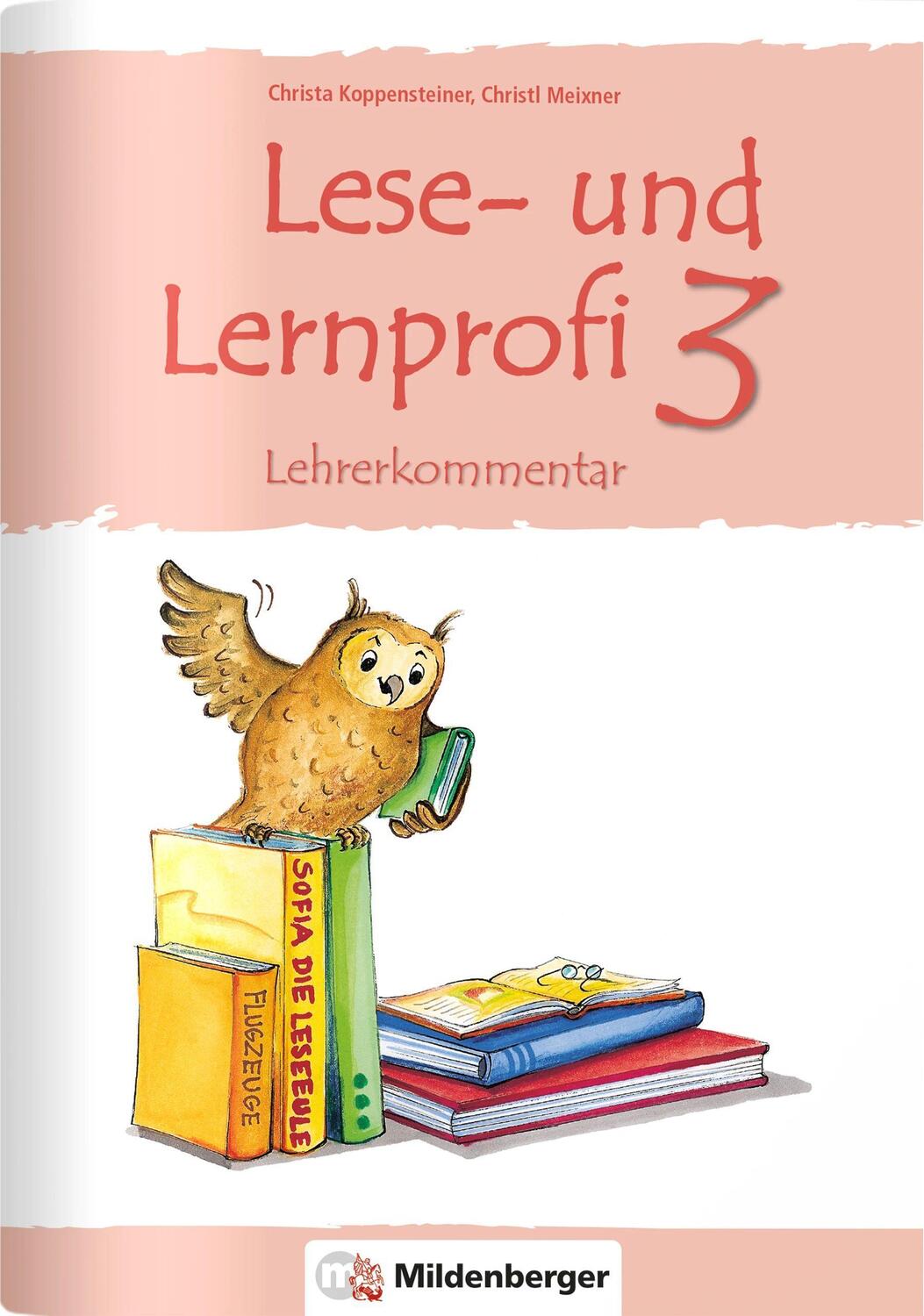 Cover: 9783619346219 | Lese- und Lernprofi 3 | Lehrerkommentar mit Lösungen | Broschüre