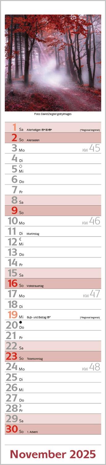 Bild: 9783731877349 | Augenblicke Langplaner 2025 | Langplaner | Verlag Korsch | Kalender