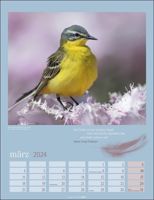 Bild: 9783840085628 | Heimische Vögel Kalender 2024. Wandkalender mit 12 Fotografien...