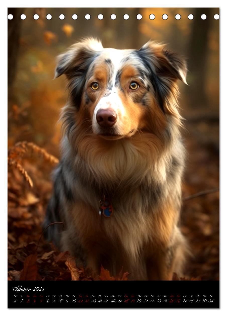 Bild: 9783435877249 | Australian Shepherd (Tischkalender 2025 DIN A5 hoch), CALVENDO...