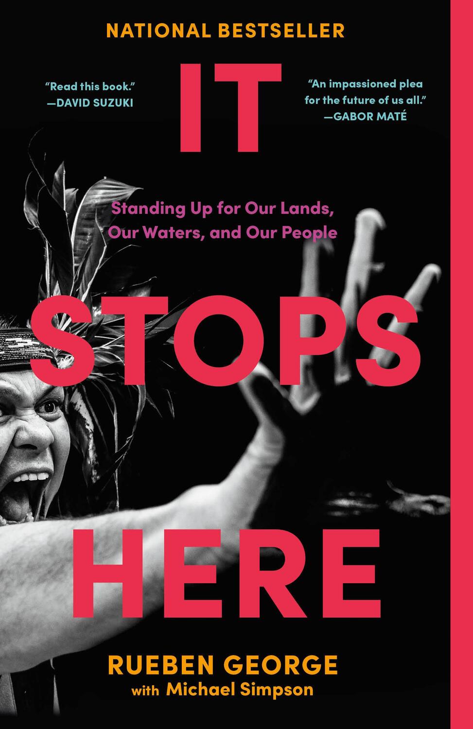 Cover: 9780735242821 | It Stops Here | Standing Up for Our Lands, Our Waters, and Our People