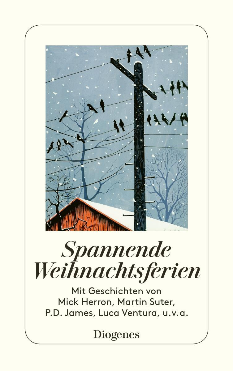 Cover: 9783257245639 | Spannende Weihnachtsferien | Shelagh Armit | Taschenbuch | 240 S.