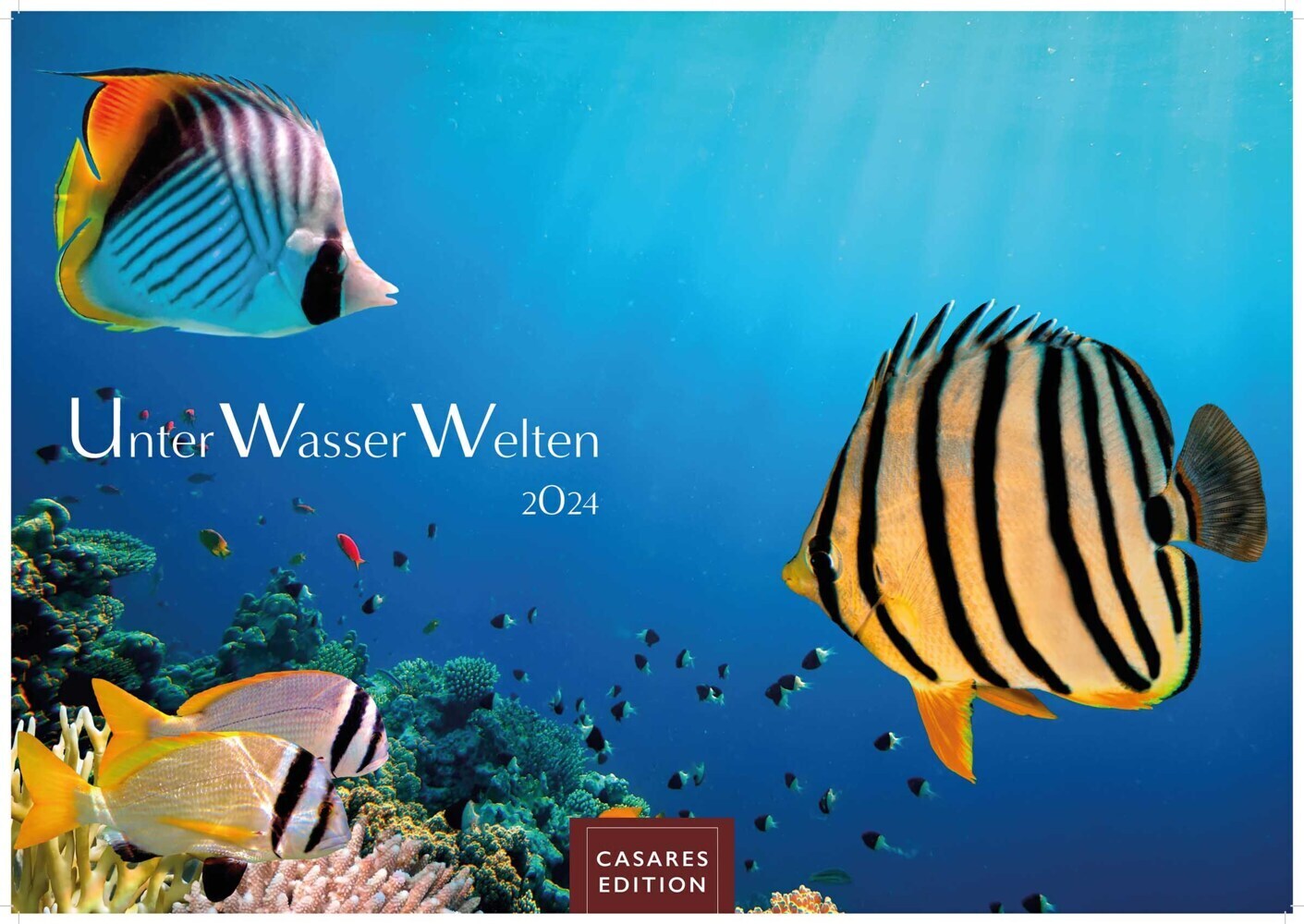 Cover: 9789918618729 | Unterwasserwelten 2024 S 24x35cm | Kalender | 14 S. | Deutsch | 2024