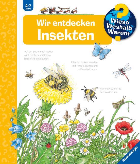 Bild: 9783473329694 | Wieso? Weshalb? Warum?, Band 39: Wir entdecken Insekten | Weinhold