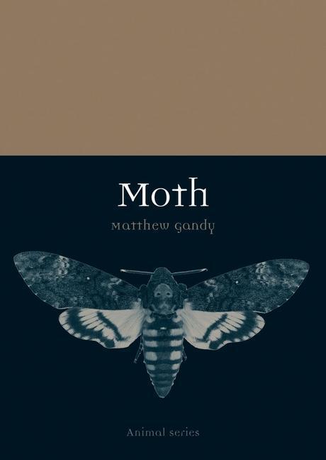 Cover: 9781780235851 | Moth | Matthew Gandy | Taschenbuch | Kartoniert / Broschiert | 2016