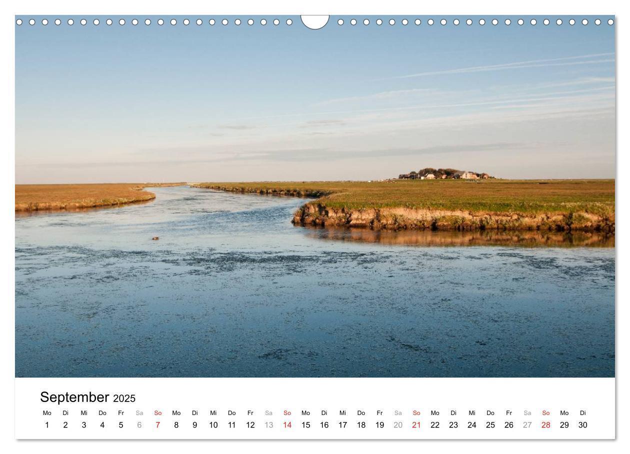 Bild: 9783435570010 | Hallig Hooge - zwischen Himmel und Erde (Wandkalender 2025 DIN A3...