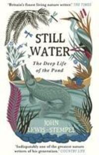 Cover: 9781784162429 | Still Water | The Deep Life of the Pond | John Lewis-Stempel | Buch