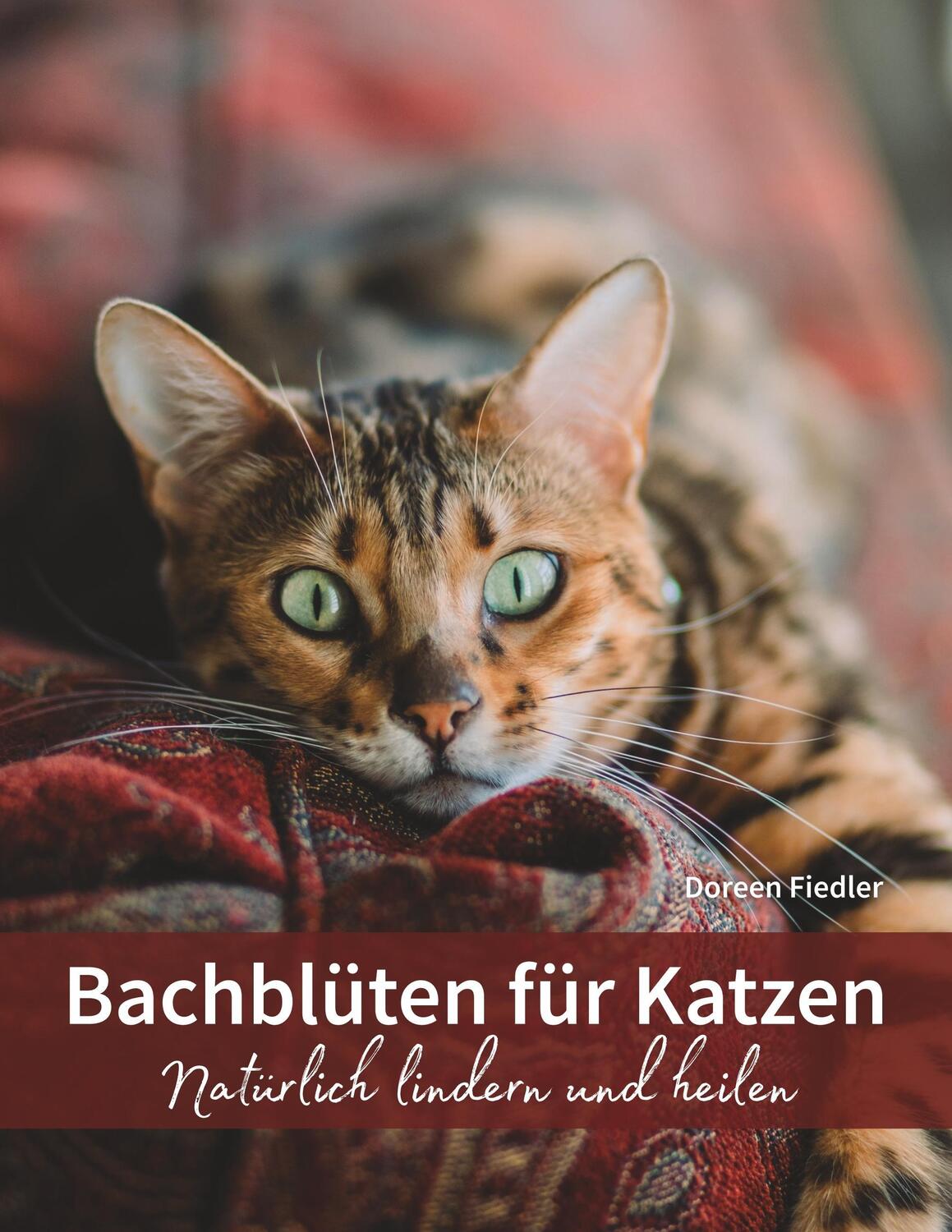 Cover: 9783746057224 | Bachblüten für Katzen | Natürlich lindern und heilen | Doreen Fiedler