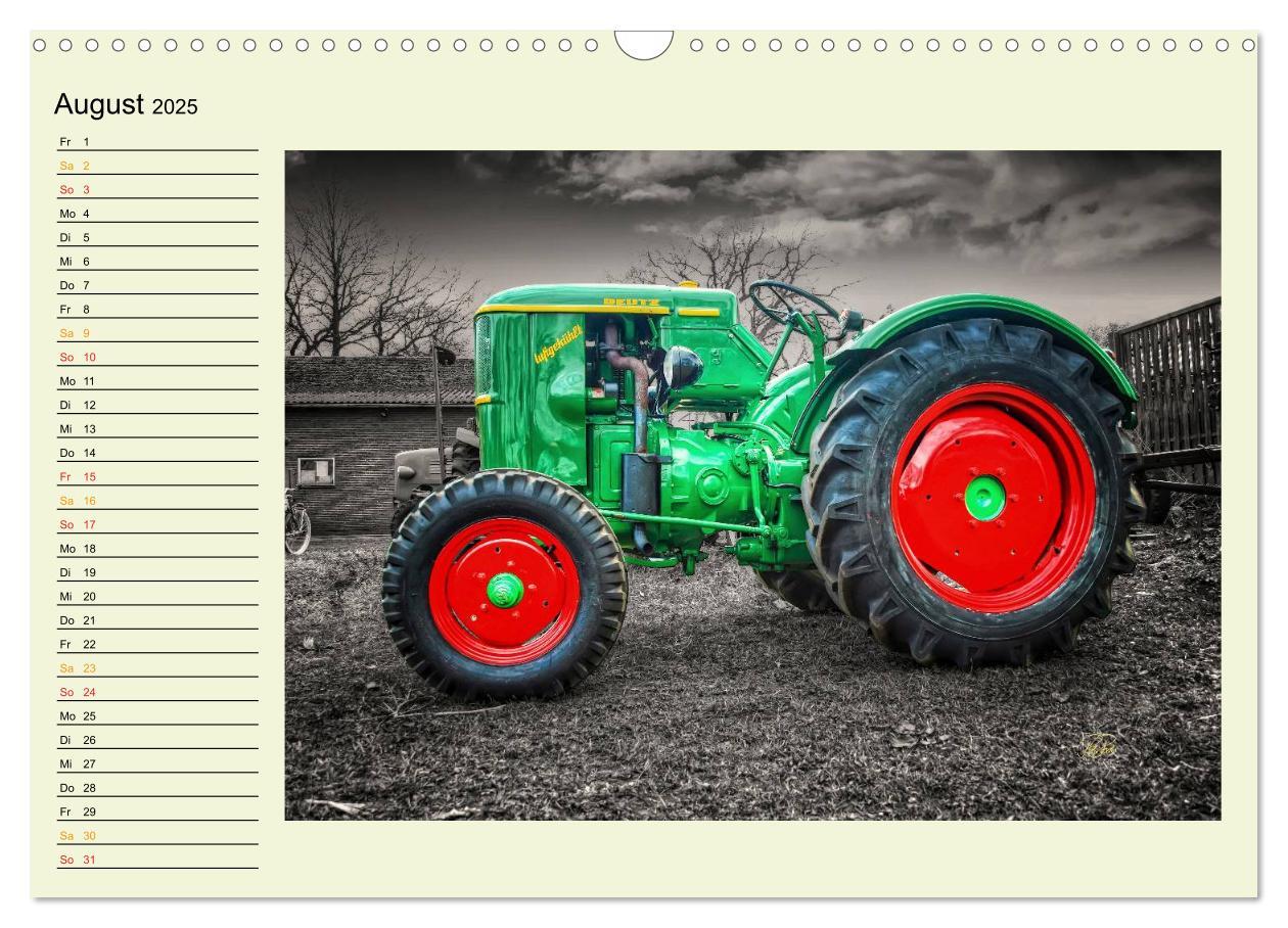 Bild: 9783435586202 | Traktoren - Oldtimer (Wandkalender 2025 DIN A3 quer), CALVENDO...