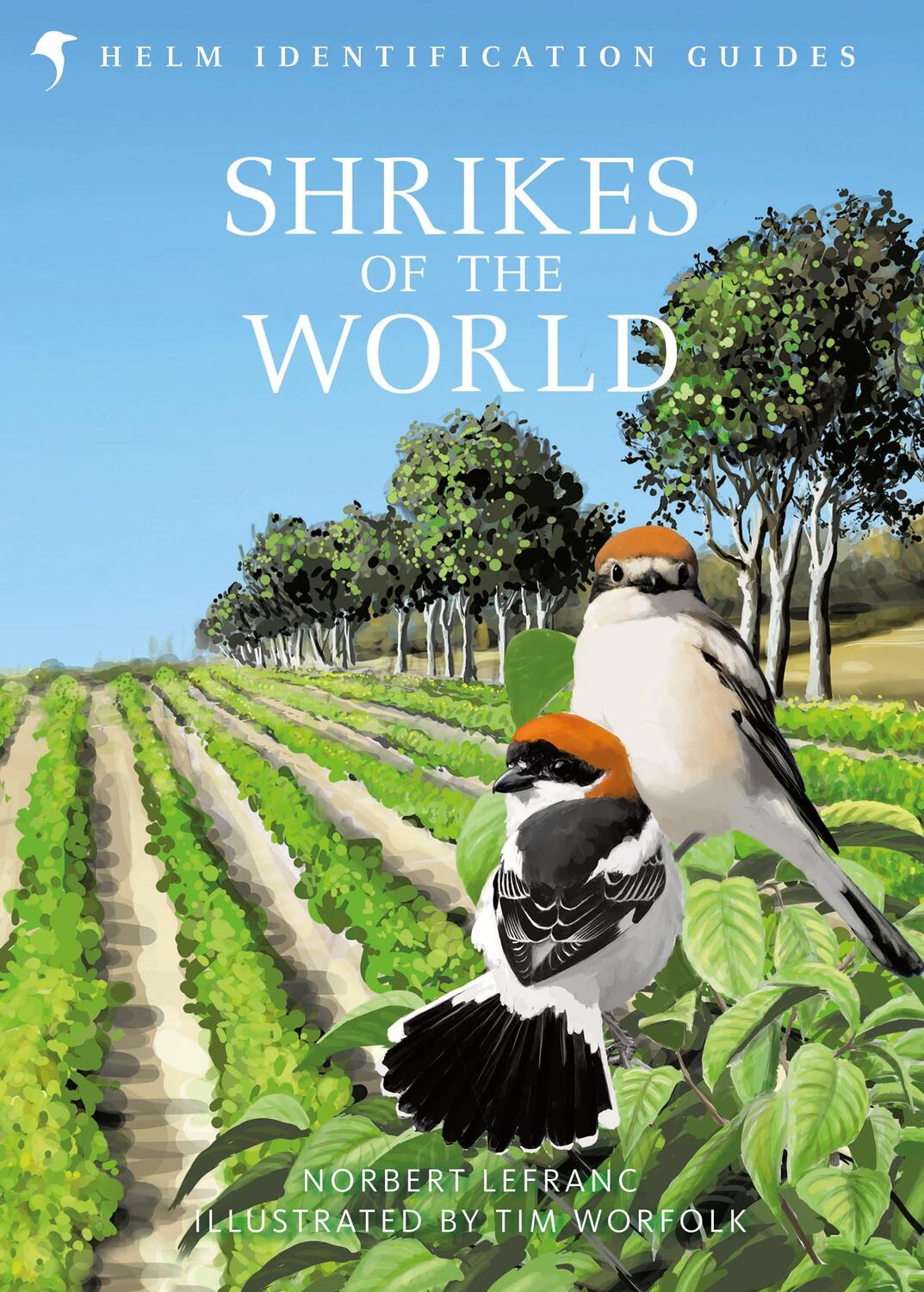 Cover: 9781472933775 | Shrikes of the World | Norbert Lefranc | Buch | Gebunden | Englisch