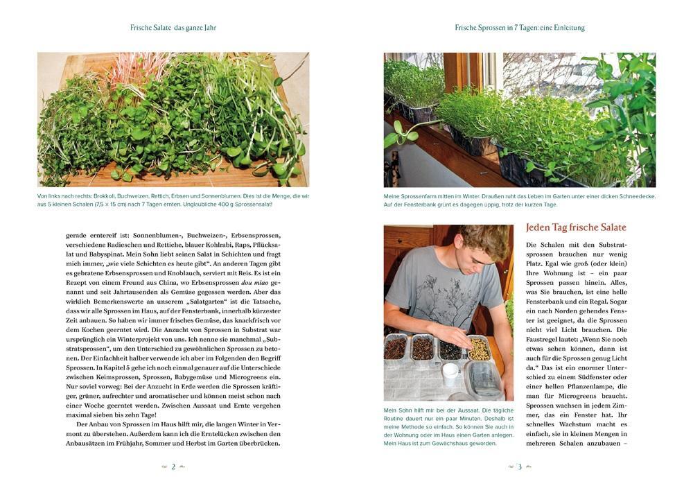 Bild: 9783706625975 | Der Salatgarten für zuhause | Peter Burke | Buch | 200 S. | Deutsch