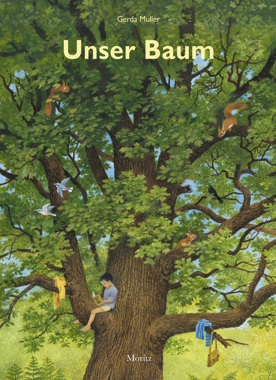 Cover: 9783895653667 | Unser Baum | Vom Leben einer alten Eiche | Gerda Muller | Buch | 2018