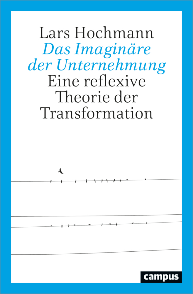 Cover: 9783593515328 | Das Imaginäre der Unternehmung | Lars Hochmann | Taschenbuch | 351 S.