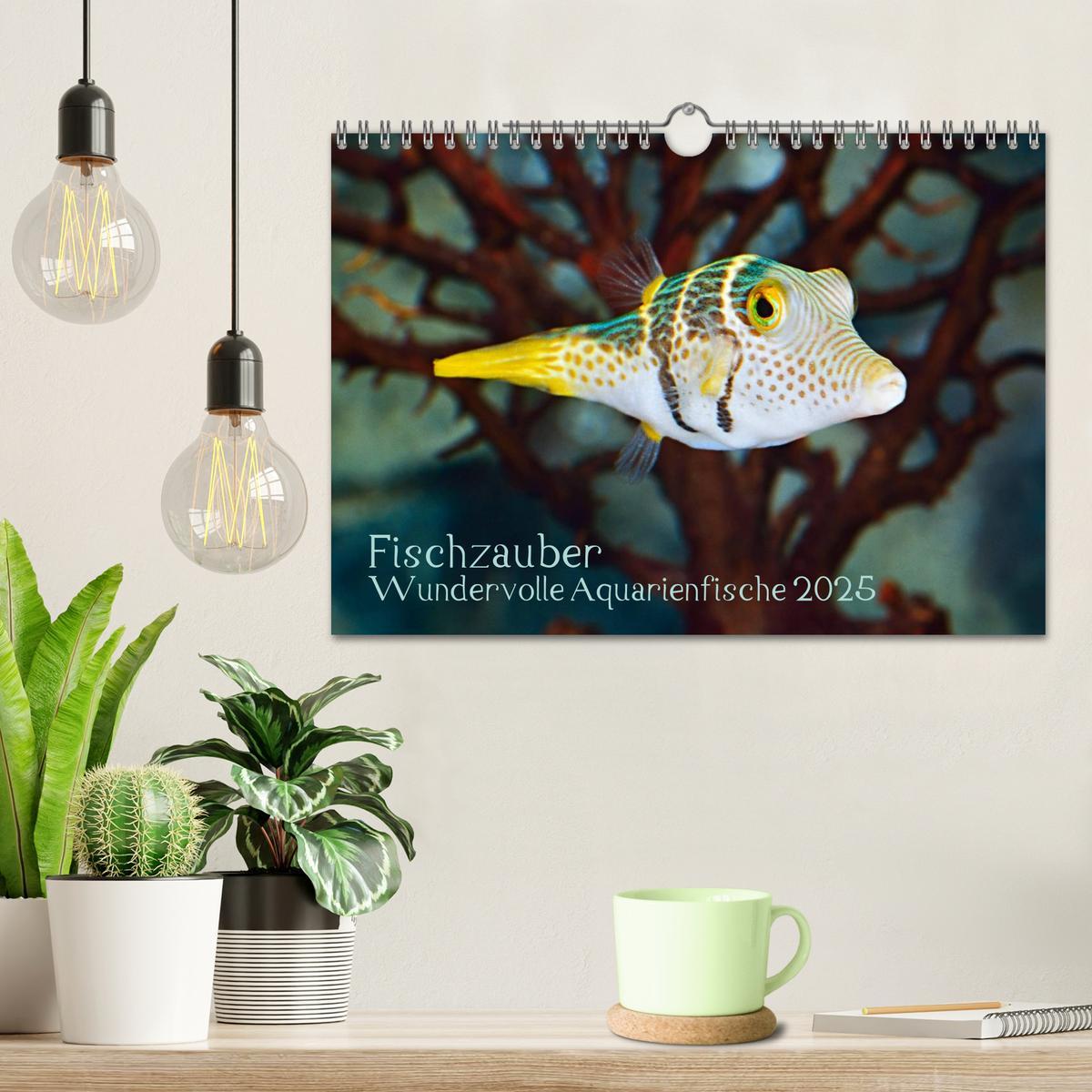 Bild: 9783435794362 | Fischzauber - Wundervolle Aquarienfische (Wandkalender 2025 DIN A4...