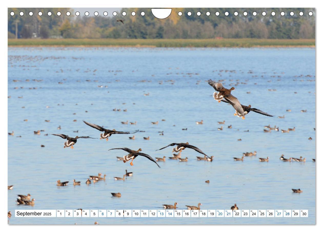 Bild: 9783435377480 | Land Brandenburg - Natur und Erholung im märkischen Land...