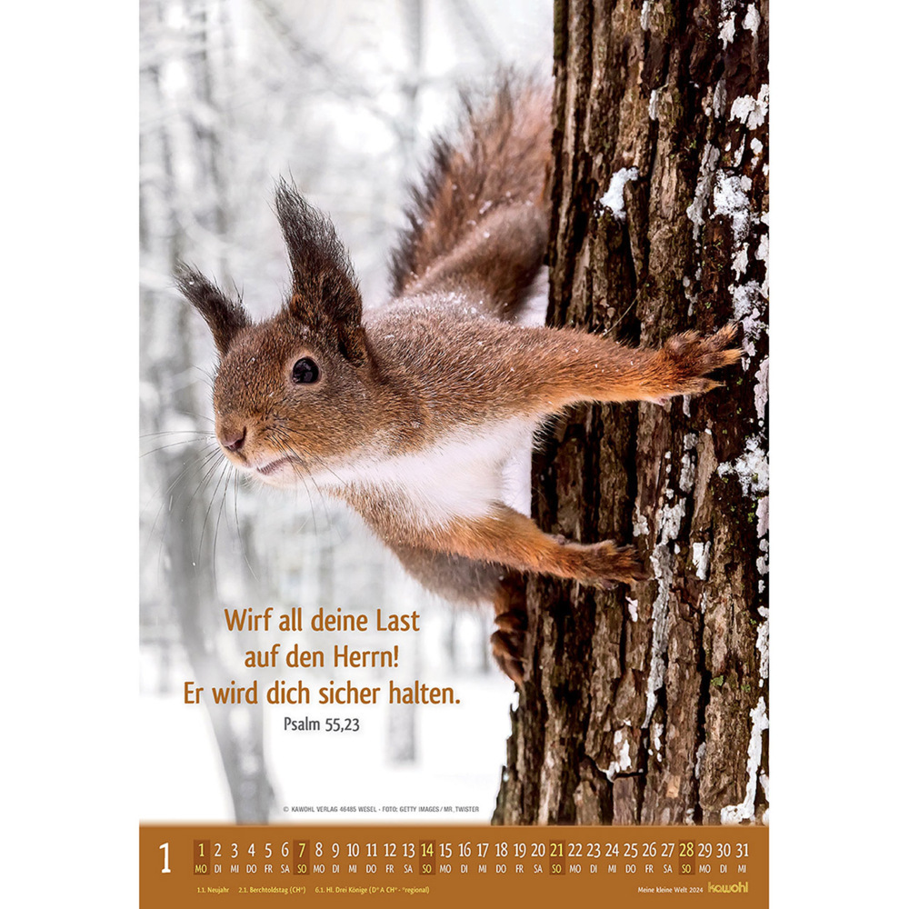 Bild: 9783754845042 | Meine kleine Welt 2024 | Tierkalender mit Bibelworten | Kalender
