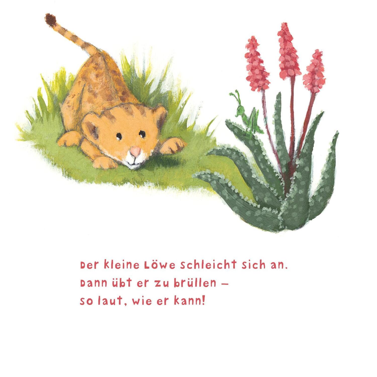 Bild: 9783551053206 | Baby Pixi (unkaputtbar) 104: Der kleine Löwe | Susanne Lütje | Buch