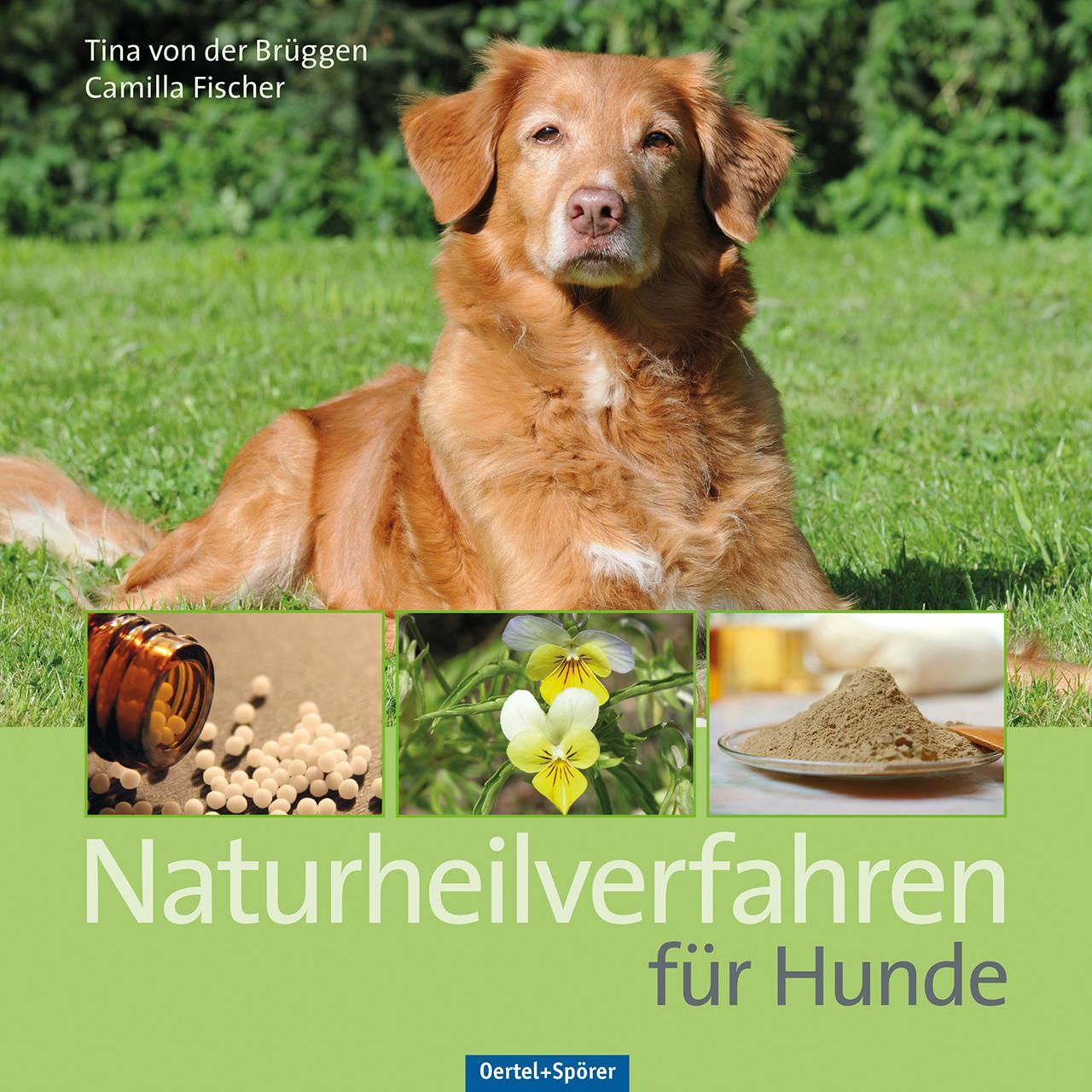 Cover: 9783886278701 | Naturheilverfahren für Hunde | Tina von der Brüggen (u. a.) | Buch