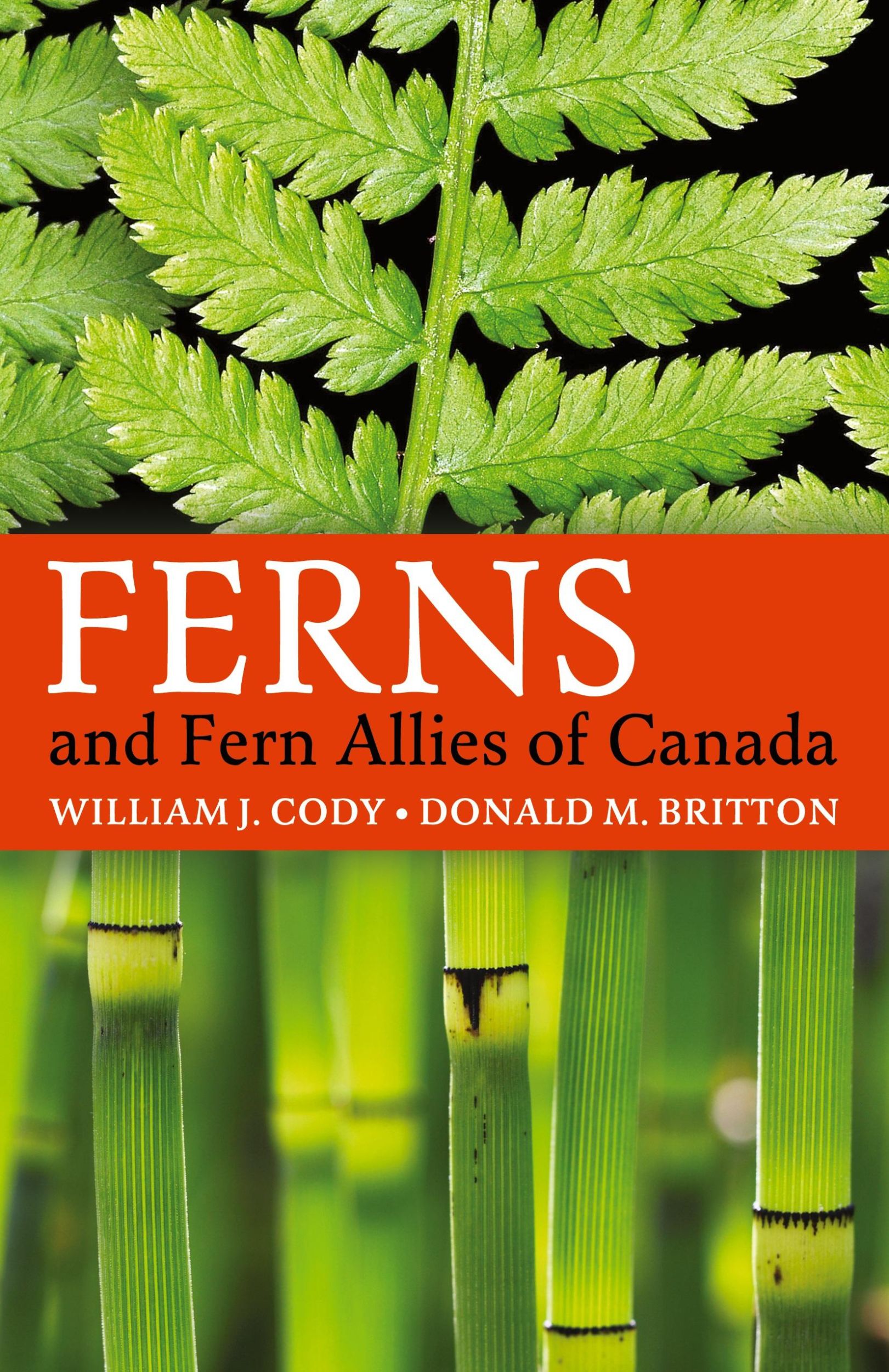 Cover: 9781951682460 | Ferns and Fern Allies of Canada | William J Cody (u. a.) | Taschenbuch