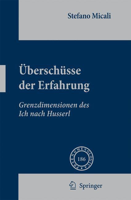 Cover: 9781402083884 | Überschüsse der Erfahrung | Grenzdimensionen des Ich nach Husserl | ix