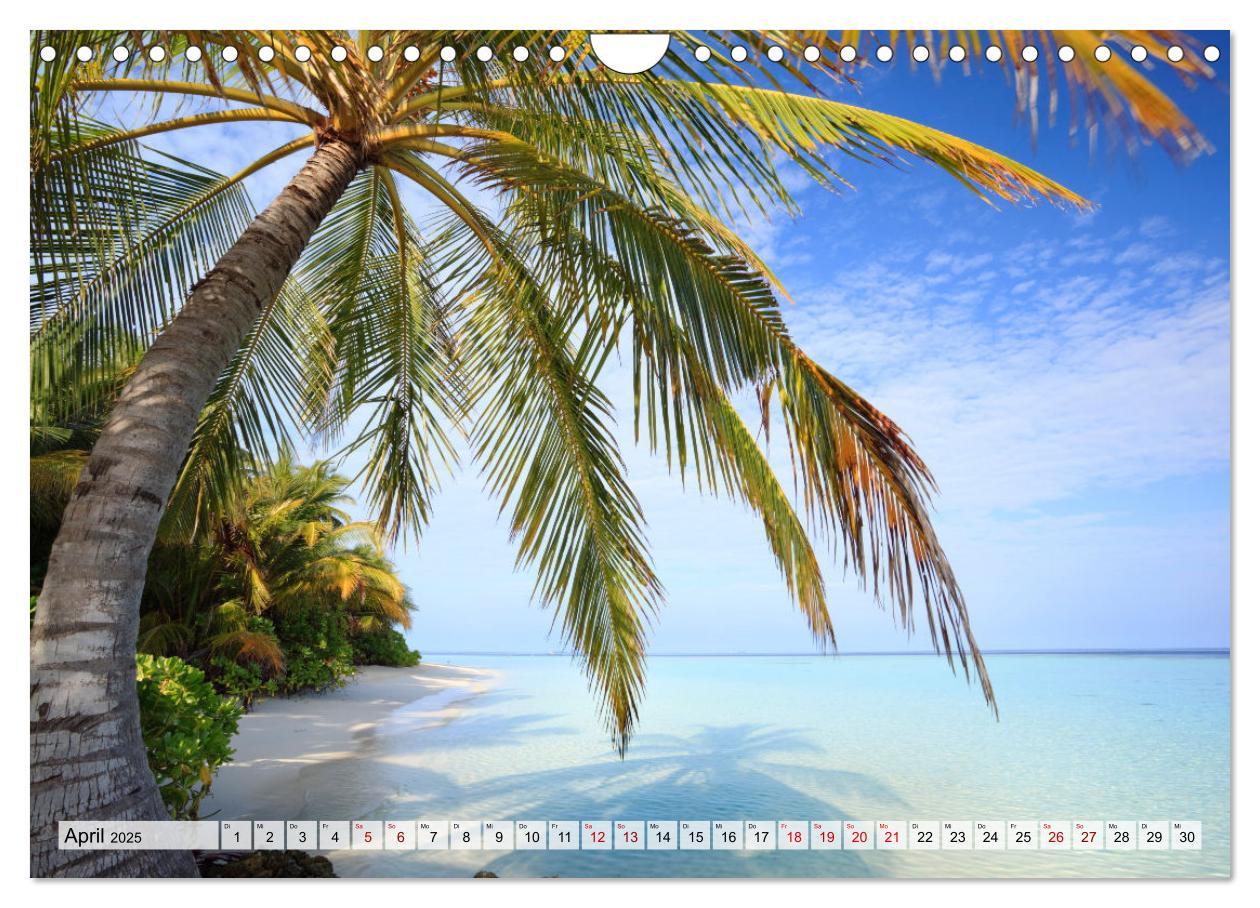 Bild: 9783383950940 | Malediven - Reise in ein Naturparadies (Wandkalender 2025 DIN A4...