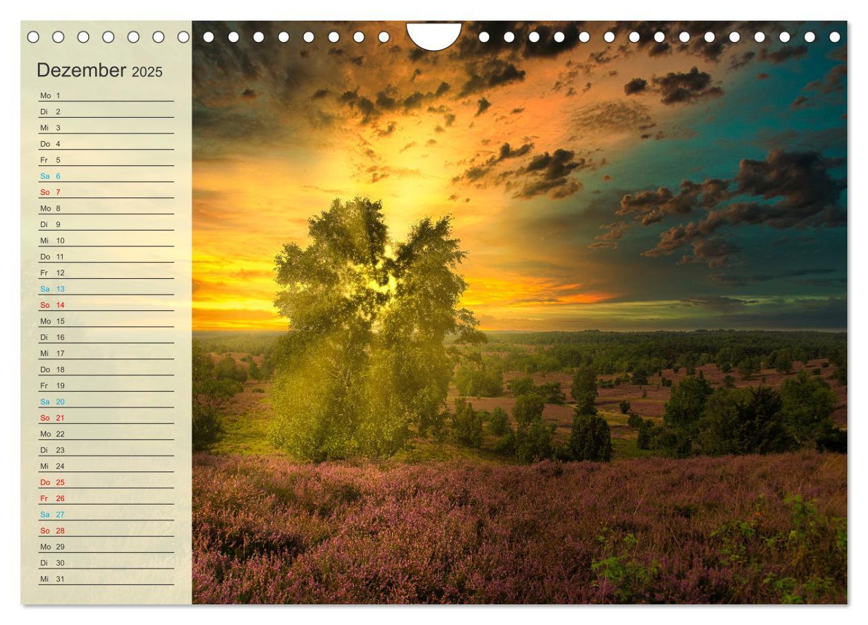 Bild: 9783435091973 | Die Heideblüte (Wandkalender 2025 DIN A4 quer), CALVENDO...