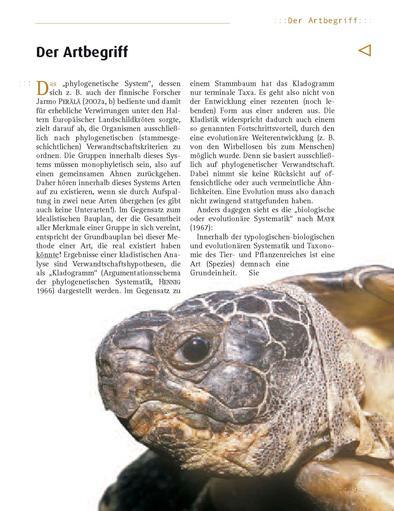 Bild: 9783937285467 | Breitrandschildkröte | Manfred Rogner | Taschenbuch | 112 S. | Deutsch