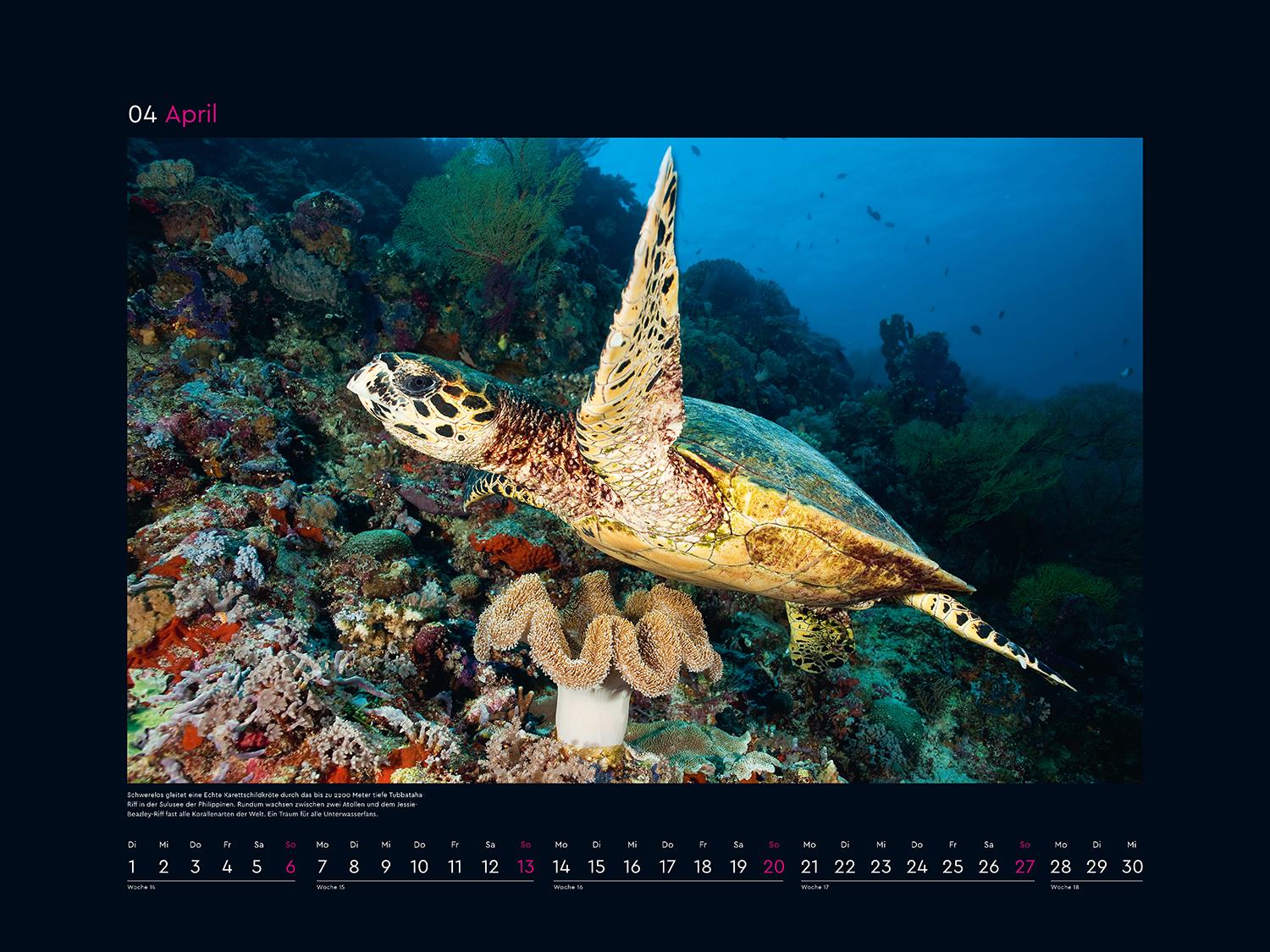 Bild: 9783965913509 | Das Naturerbe der Welt - KUNTH Wandkalender 2025 | Kalender | 14 S.