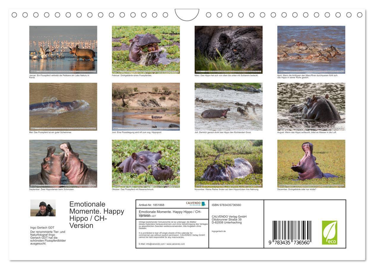 Bild: 9783435736560 | Emotionale Momente. Happy Hippo / CH-Version (Wandkalender 2025 DIN...