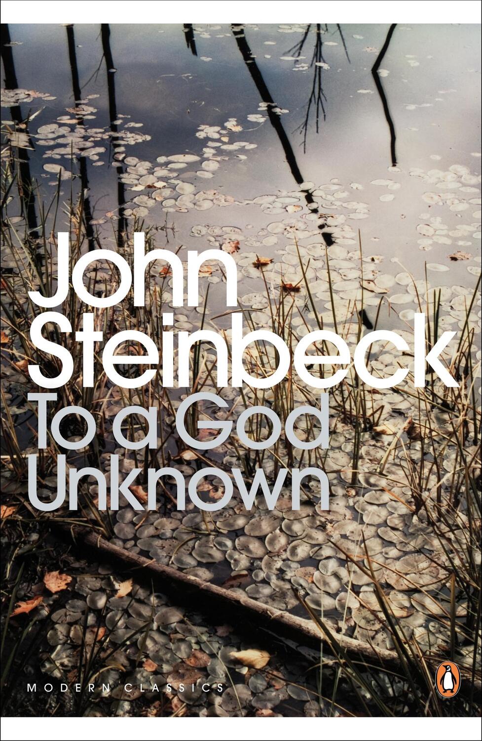 Cover: 9780141185507 | To a God Unknown | Mr John Steinbeck | Taschenbuch | Englisch | 2000