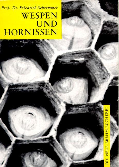 Cover: 9783894324865 | Wespen und Hornissen | Die einheimischen sozialen Faltenwespen | Buch