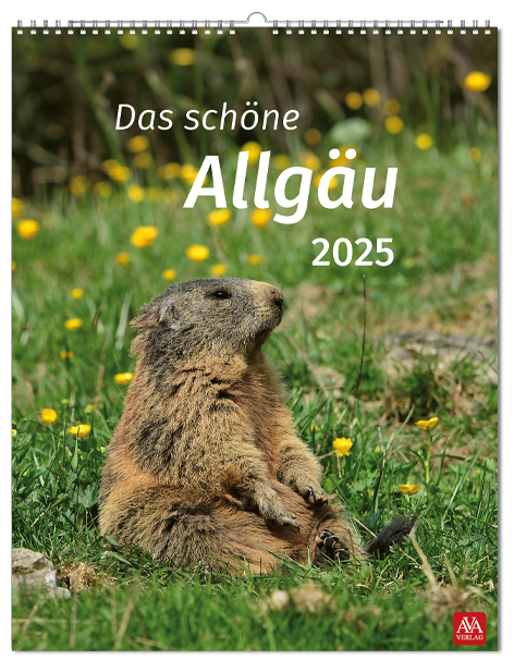 Cover: 9783985160556 | Allgäu 2025 | Bildkalender | AVA-Verlag Allgäu GmbH | Kalender | 14 S.