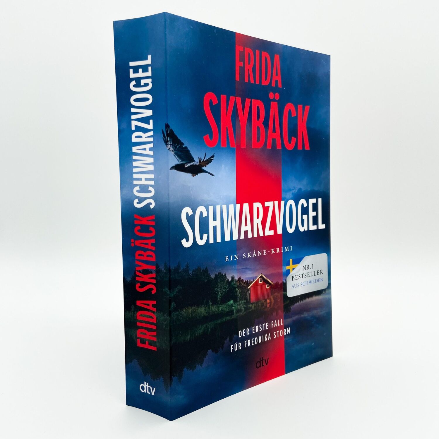 Bild: 9783423263689 | Schwarzvogel | Frida Skybäck | Taschenbuch | Fredrika Storm | 448 S.