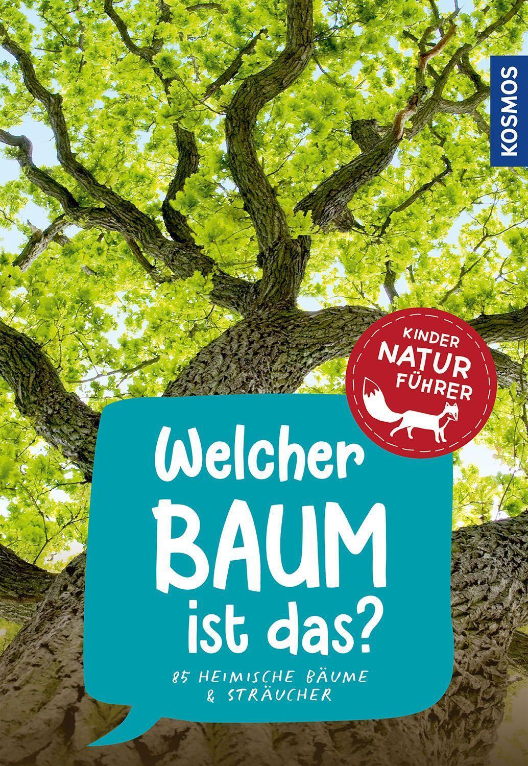 Cover: 9783440172452 | Welcher Baum ist das? Kindernaturführer | Holger Haag | Taschenbuch