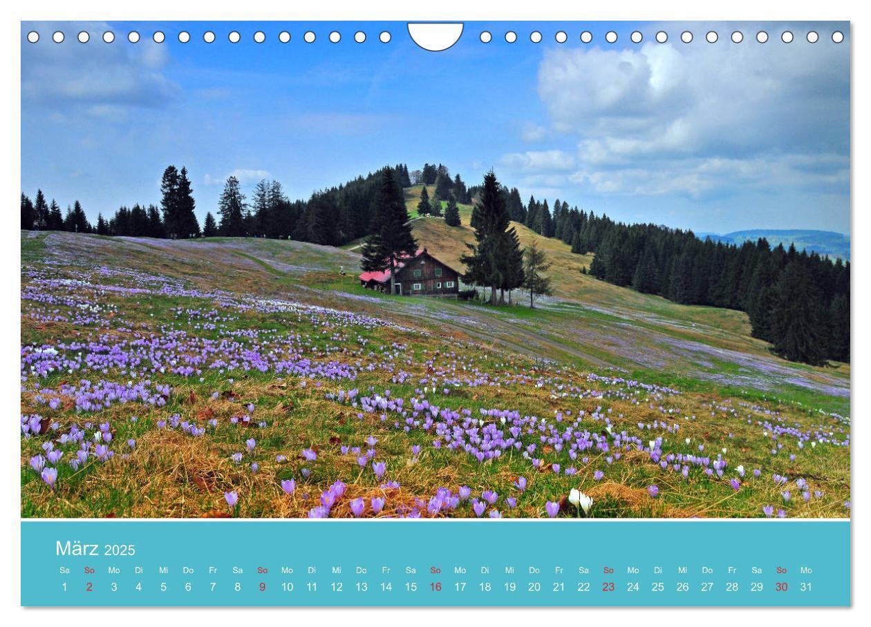 Bild: 9783457128992 | Wo das Allgäu am schönsten ist (Wandkalender 2025 DIN A4 quer),...