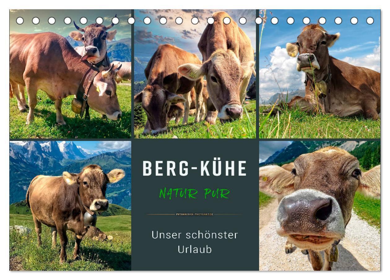 Cover: 9783675555334 | Berg-Kühe, Natur pur - unser schönster Urlaub (Tischkalender 2024...