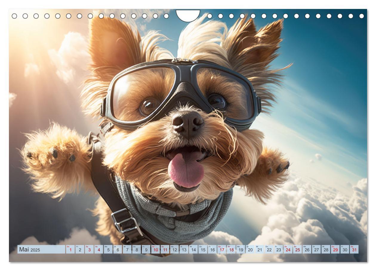 Bild: 9783383867149 | Hunde Skydiving (Wandkalender 2025 DIN A4 quer), CALVENDO...