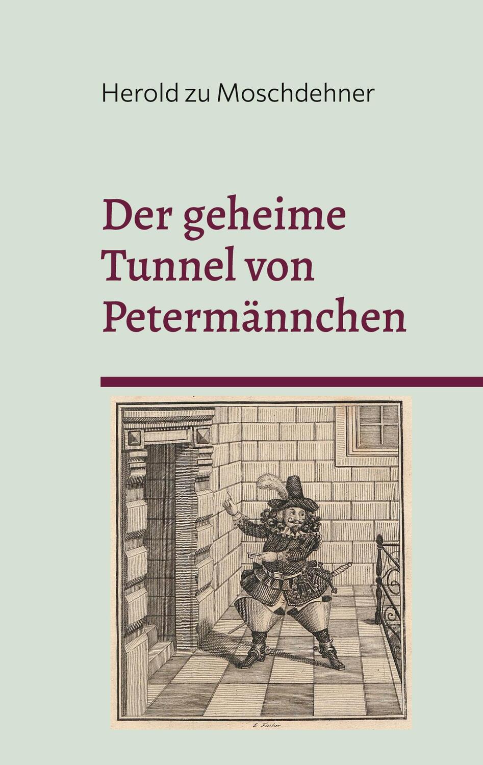 Cover: 9783734792984 | Der geheime Tunnel von Petermännchen | Herold Zu Moschdehner | Buch
