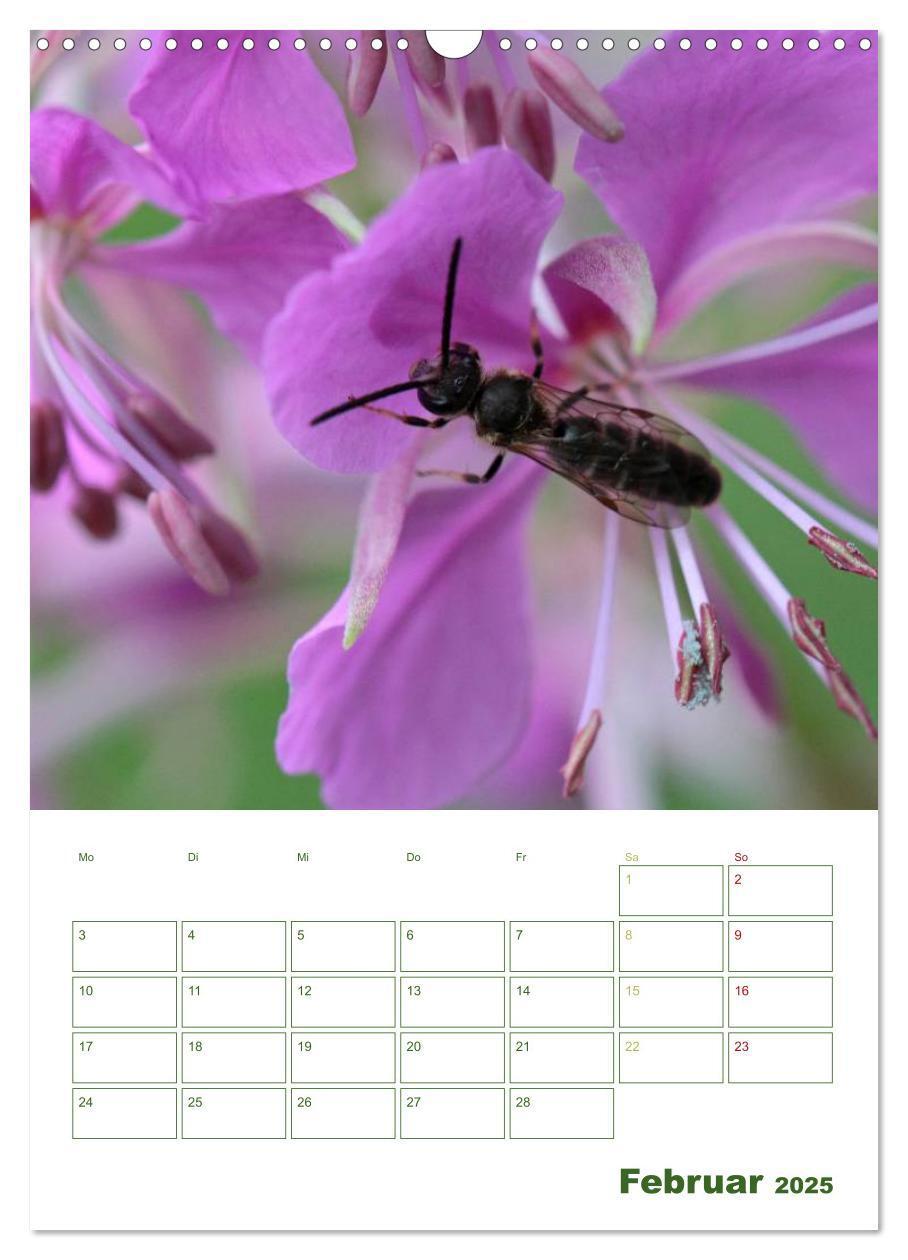 Bild: 9783457030493 | Bienen-Terminplaner 2025 (Wandkalender 2025 DIN A3 hoch), CALVENDO...