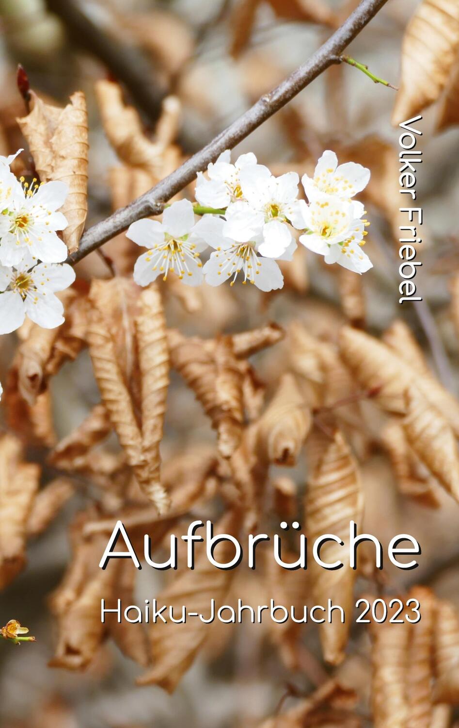 Cover: 9783759712691 | Aufbrüche | Haiku-Jahrbuch 2023 | Volker Friebel | Taschenbuch | 2024